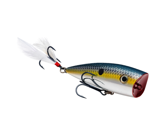 STRIKE KING KVD SPLASH POPPER