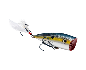 Buy chrome-sexy-shad STRIKE KING KVD SPLASH POPPER
