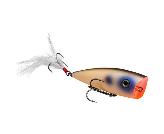 STRIKE KING KVD SPLASH POPPER