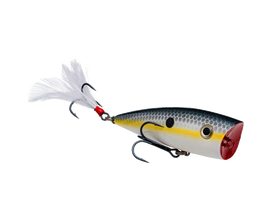 Buy sexy-shad STRIKE KING KVD SPLASH POPPER