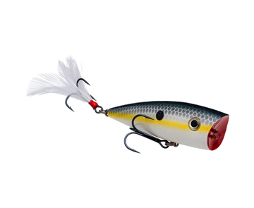 Buy sexy-shad STRIKE KING KVD SPLASH POPPER