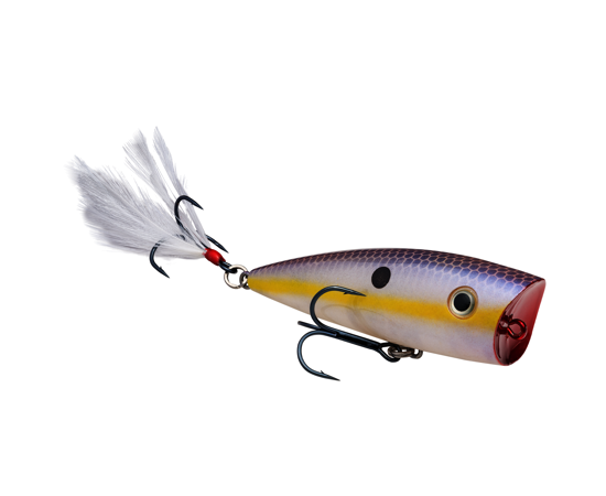 STRIKE KING KVD SPLASH POPPER