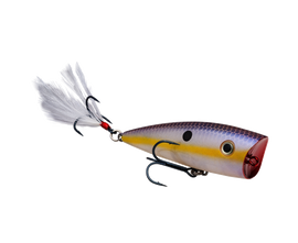 Buy chart-shad STRIKE KING KVD SPLASH POPPER