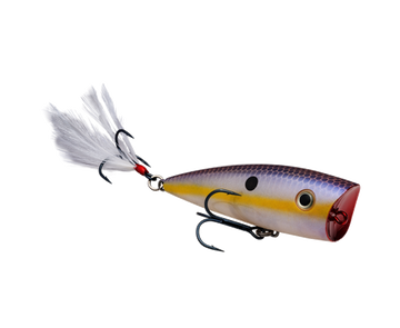 Buy chart-shad STRIKE KING KVD SPLASH POPPER