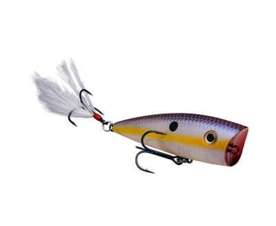 STRIKE KING KVD SPLASH POPPER