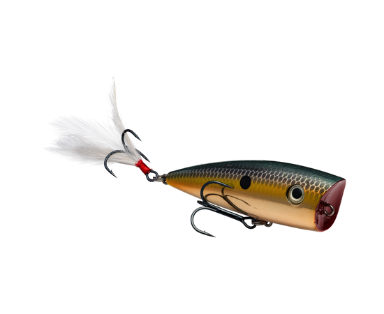 STRIKE KING KVD SPLASH POPPER