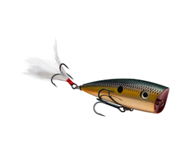 Buy gold-sexy-shad STRIKE KING KVD SPLASH POPPER