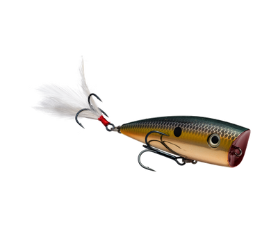 STRIKE KING KVD SPLASH POPPER