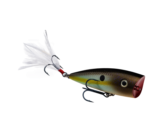 STRIKE KING KVD SPLASH POPPER