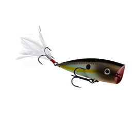 Buy summer-sexy-shad STRIKE KING KVD SPLASH POPPER