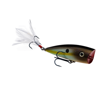 Buy summer-sexy-shad STRIKE KING KVD SPLASH POPPER