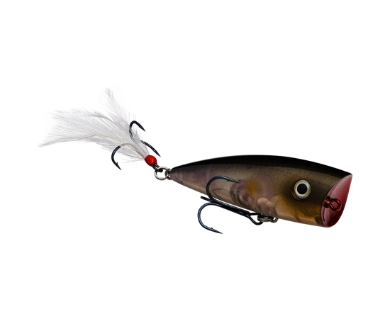 STRIKE KING KVD SPLASH POPPER