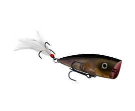 Buy clearwater-minnow STRIKE KING KVD SPLASH POPPER