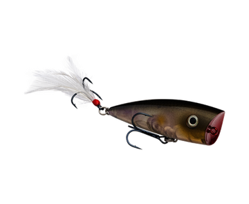 Buy clearwater-minnow STRIKE KING KVD SPLASH POPPER