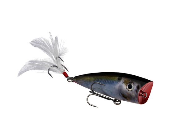 STRIKE KING KVD SPLASH POPPER