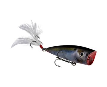 Buy natural-shad STRIKE KING KVD SPLASH POPPER