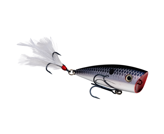 STRIKE KING KVD SPLASH JR POPPER