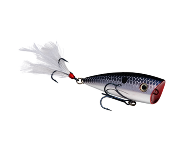 STRIKE KING KVD SPLASH JR POPPER