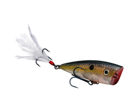 Buy clear-ghost-sexy-shad STRIKE KING KVD SPLASH JR POPPER