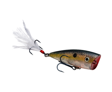 Buy clear-ghost-sexy-shad STRIKE KING KVD SPLASH JR POPPER