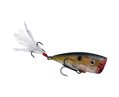 STRIKE KING KVD SPLASH JR POPPER