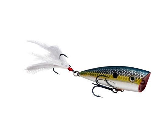 STRIKE KING KVD SPLASH JR POPPER