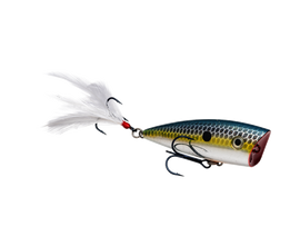 Buy chrome-sexy-shad STRIKE KING KVD SPLASH JR POPPER