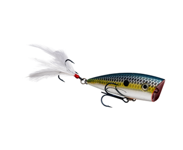 Buy chrome-sexy-shad STRIKE KING KVD SPLASH JR POPPER