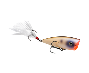 Buy oyster STRIKE KING KVD SPLASH JR POPPER