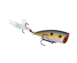 Buy sexy-shad STRIKE KING KVD SPLASH JR POPPER