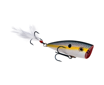 Buy sexy-shad STRIKE KING KVD SPLASH JR POPPER