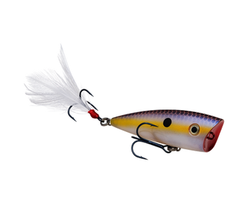 Buy chart-shad STRIKE KING KVD SPLASH JR POPPER