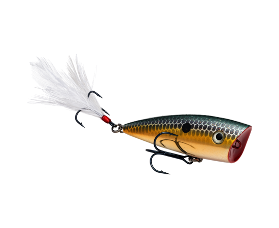 STRIKE KING KVD SPLASH JR POPPER