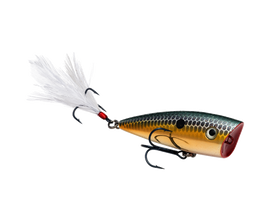 Buy gold-sexy-shad STRIKE KING KVD SPLASH JR POPPER