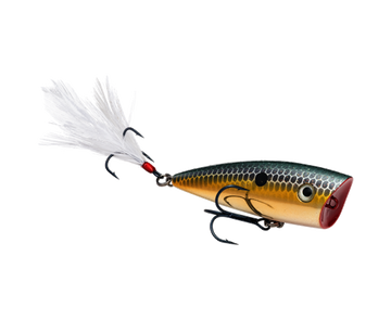 Buy gold-sexy-shad STRIKE KING KVD SPLASH JR POPPER