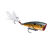 Gold Sexy Shad