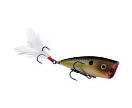 Buy summer-sexy-shad STRIKE KING KVD SPLASH JR POPPER