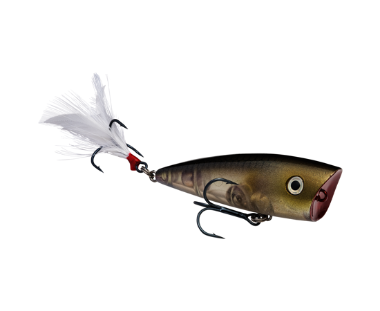 STRIKE KING KVD SPLASH JR POPPER