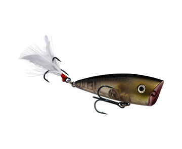 Buy clearwater-minnow STRIKE KING KVD SPLASH JR POPPER