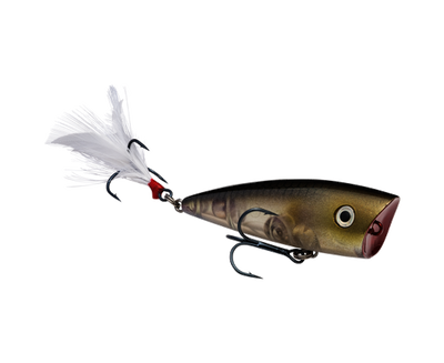 STRIKE KING KVD SPLASH JR POPPER