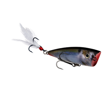 Buy natural-shad STRIKE KING KVD SPLASH JR POPPER