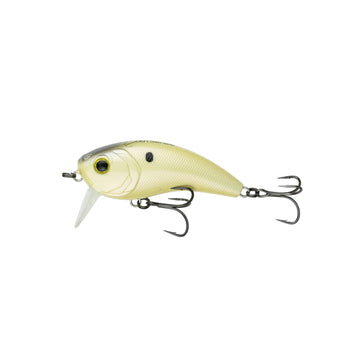 Buy bone-reactor 6TH SENSE MOVEMENT 80 WAKE