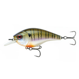 Buy 4k-bluegill 6TH SENSE MAGNUM SB