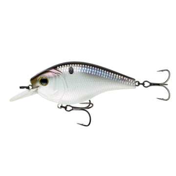 Buy shad-scales-w-scales 6TH SENSE CLOUD 9 MAGNUM SQUAREBILL