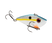 Sexy Shad