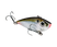 Natural Shad