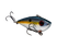 Chrome Sexy Shad