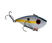 Sexy Shad