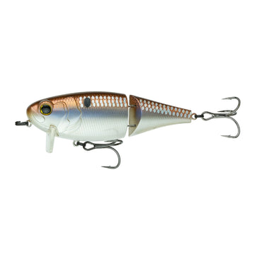 Buy 4k-gizzard-w-scales 6TH SENSE SPEED WAKE