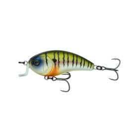 Buy 4k-bluegill 6TH SENSE SWANK SERIES